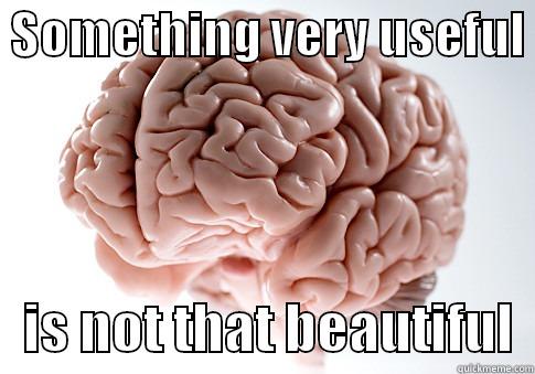 SOMETHING VERY USEFUL     IS NOT THAT BEAUTIFUL  Scumbag Brain