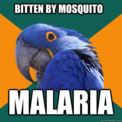 Bitten by mosquito malaria  Paranoid Parrot
