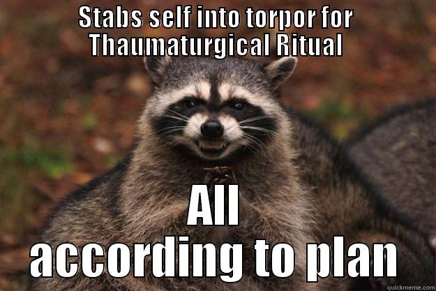 STABS SELF INTO TORPOR FOR THAUMATURGICAL RITUAL ALL ACCORDING TO PLAN Evil Plotting Raccoon