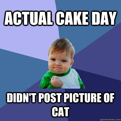 Actual Cake Day Didn't post picture of cat  Success Kid
