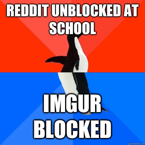 Reddit unblocked at school Imgur blocked  Socially Awesome Awkward Penguin