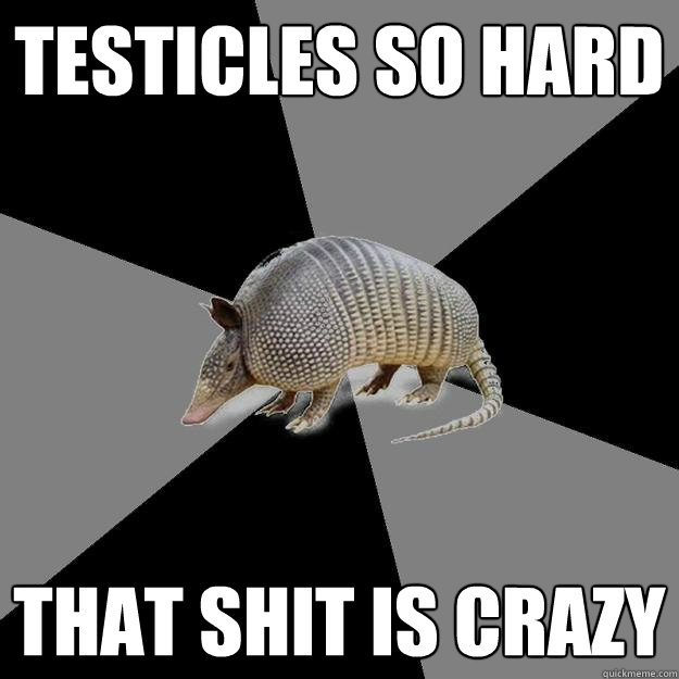 Testicles so hard That shit is crazy  English Major Armadillo