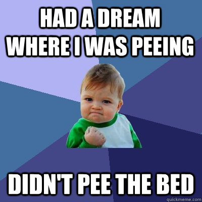 Had a dream where I was peeing didn't pee the bed - Had a dream where I was peeing didn't pee the bed  Success Kid