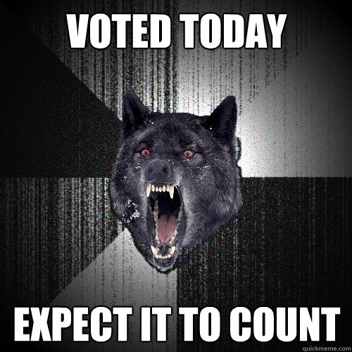 VOTED TODAY EXPECT IT TO COUNT  Insanity Wolf
