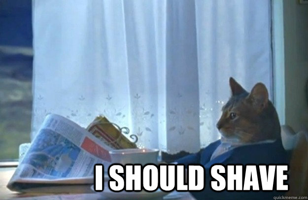 I should shave  Sophisticated Cat