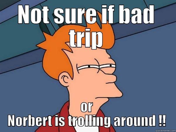 Bad  trip - NOT SURE IF BAD TRIP OR NORBERT IS TROLLING AROUND !! Futurama Fry