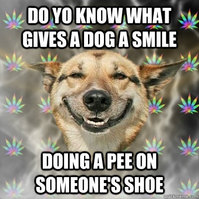 do yo know what gives a dog a smile doing a pee on someone's shoe  Stoner Dog