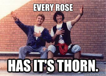 Every rose Has it's thorn.  