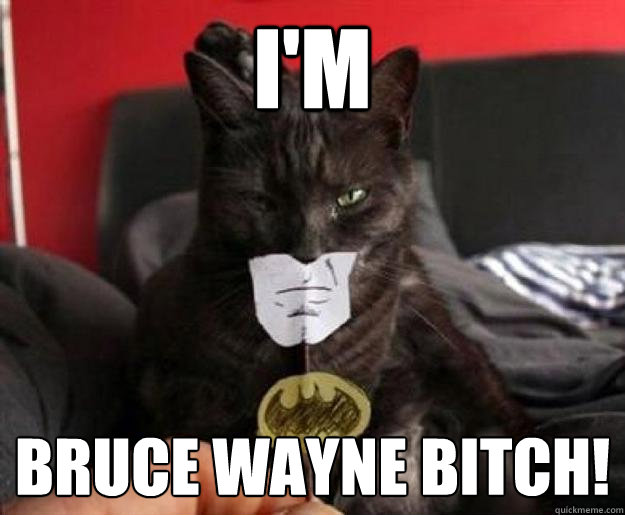 I'm Bruce Wayne Bitch!  LOLCat