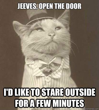 Jeeves, Open the door I'd like to stare outside for a few minutes - Jeeves, Open the door I'd like to stare outside for a few minutes  Aristocat