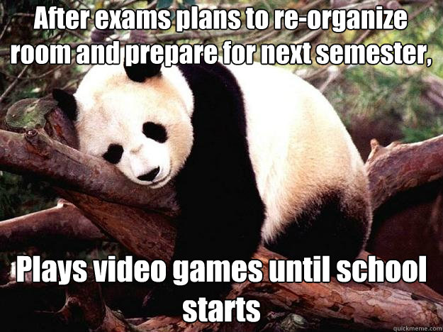 After exams plans to re-organize room and prepare for next semester, Plays video games until school starts  Procrastination Panda