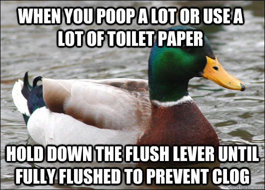When you poop a lot or use a lot of toilet paper hold down the flush lever until fully flushed to prevent clog  Actual Advice Mallard