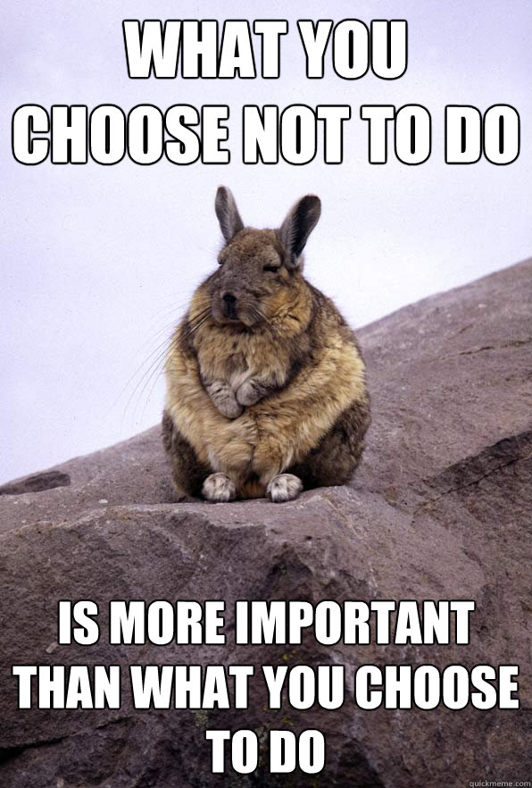 what you choose not to do is more important than what you choose to do - what you choose not to do is more important than what you choose to do  Wise Wondering Viscacha