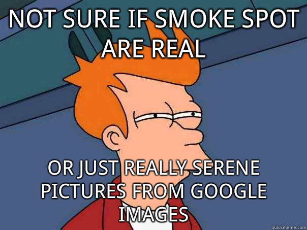 Not sure if smoke spot are real or just really serene pictures from google images  Futurama Fry