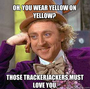 Oh, you wear yellow on yellow? Those trackerjackers must love you.   Condescending Wonka