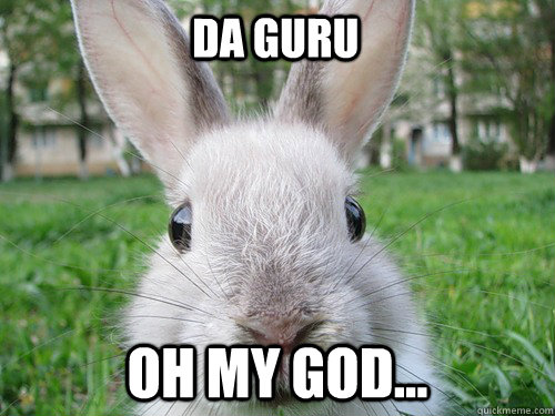 Da Guru Oh my god...  Rabbit webcam