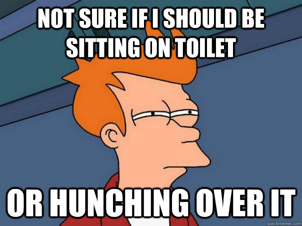 Not sure if I should be sitting on toilet Or hunching over it  Futurama Fry