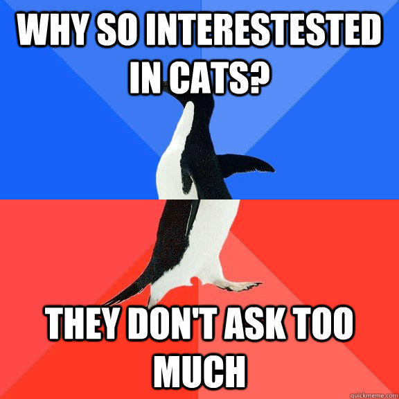 Why so interestested ın cats? they don't ask too much  Socially Awkward Awesome Penguin