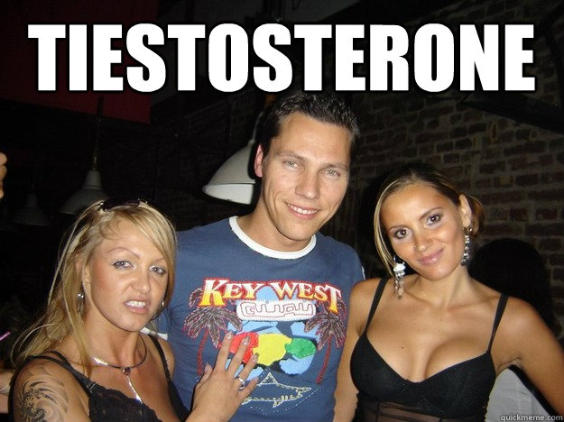 tiestosterone  - tiestosterone   tiesto stallion