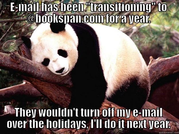 E-MAIL HAS BEEN 