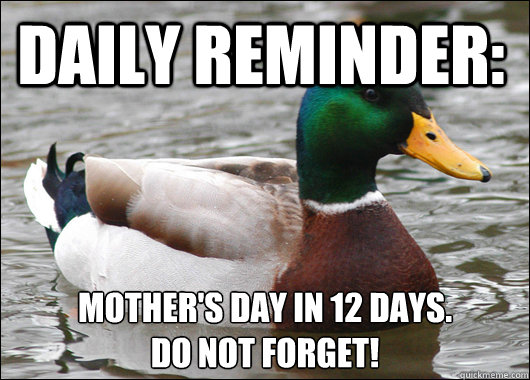 daily reminder: mother's day in 12 days.
do not forget!  Actual Advice Mallard