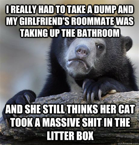 i really had to take a dump and my girlfriend's roommate was taking up the bathroom and she still thinks her cat took a massive shit in the litter box  Confession Bear