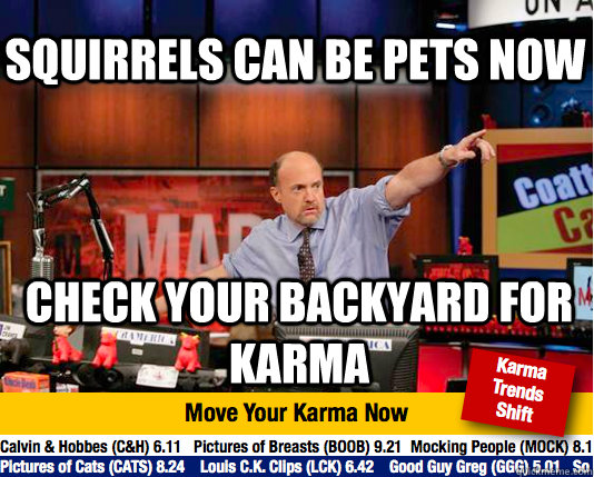 Squirrels can be pets now Check your backyard for karma  Mad Karma with Jim Cramer