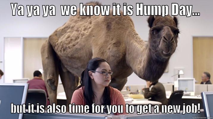 YA YA YA  WE KNOW IT IS HUMP DAY... BUT IT IS ALSO TIME FOR YOU TO GET A NEW JOB! Misc
