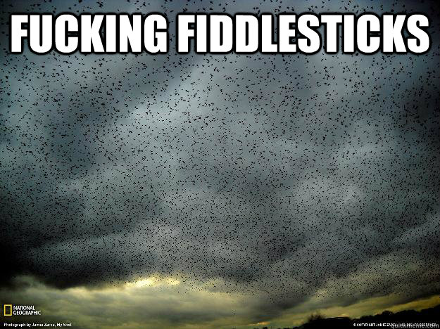FUCKING FIDDLESTICKS - FUCKING FIDDLESTICKS  Fiddlesticks