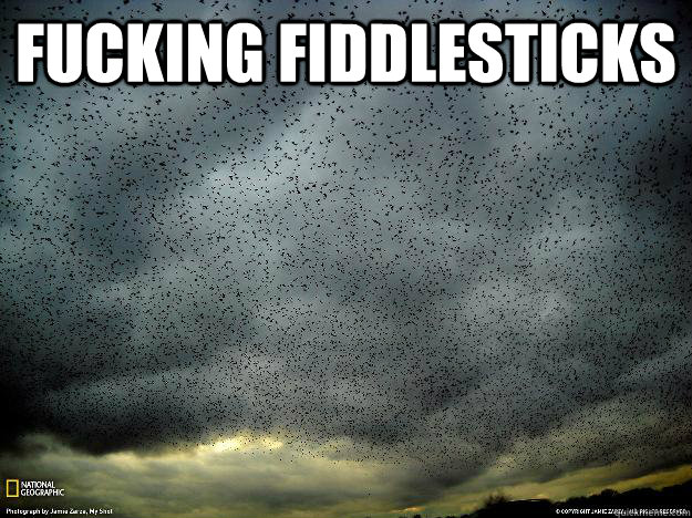 FUCKING FIDDLESTICKS  