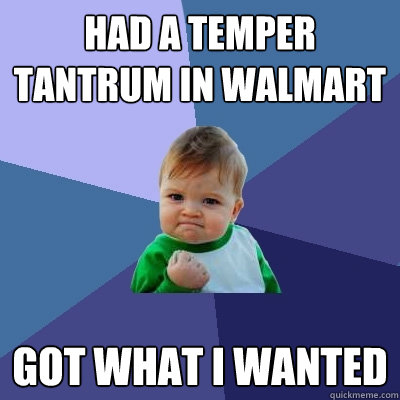 had a temper tantrum in Walmart Got what i wanted  Success Kid