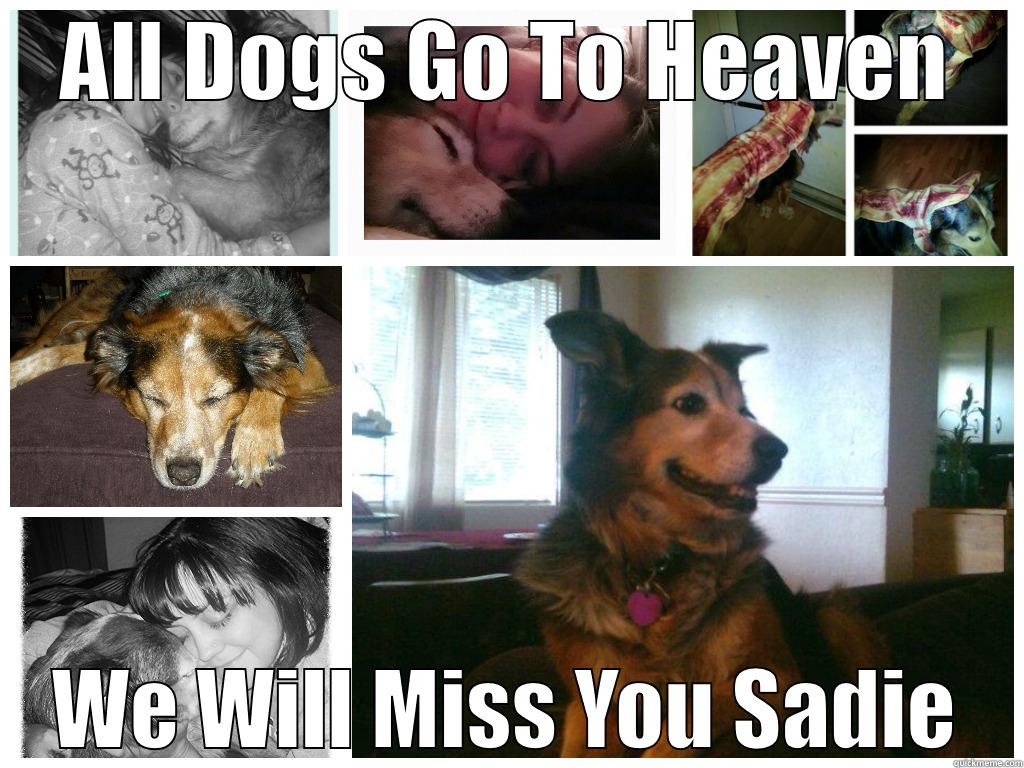 ALL DOGS GO TO HEAVEN WE WILL MISS YOU SADIE Misc