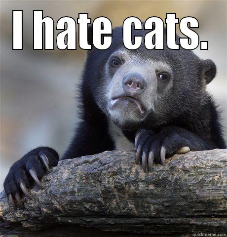 I HATE CATS.  Confession Bear
