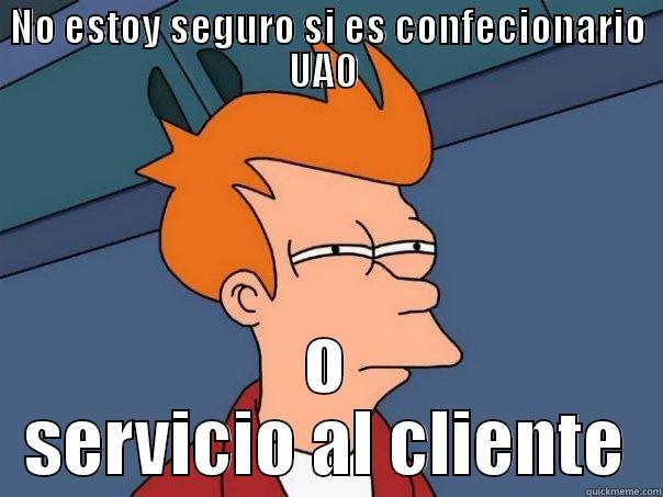NO ESTOY SEGURO SI ES CONFECIONARIO UAO  O SERVICIO AL CLIENTE Futurama Fry