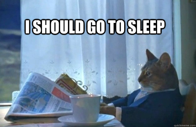 I should go to sleep  Sophisticated Cat