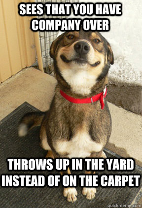 Sees that you have company over throws up in the yard instead of on the carpet  Good Dog Greg