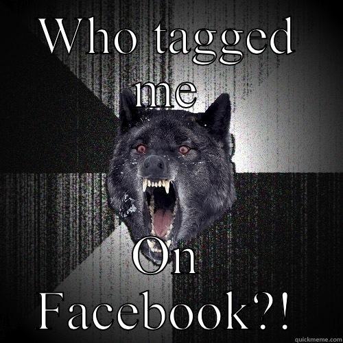 WHO TAGGED ME ON FACEBOOK?! Insanity Wolf