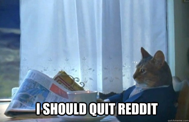 I should quit reddit  Sophisticated Cat