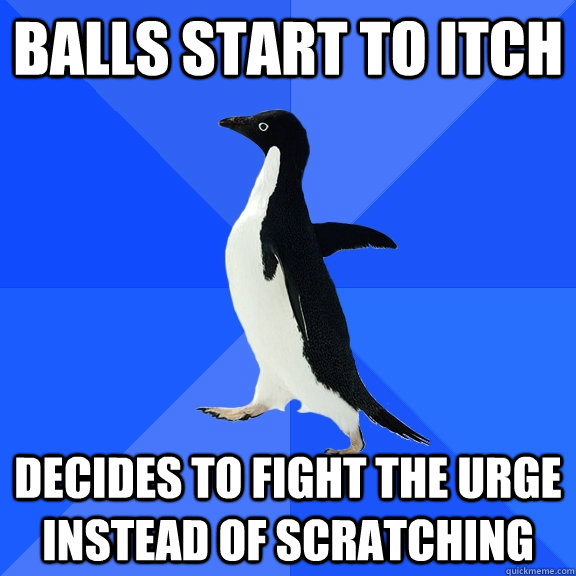 balls start to itch decides to fight the urge instead of scratching  Socially Awkward Penguin