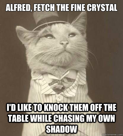 Alfred, fetch the fine crystal  I'd like to knock them off the table while chasing my own shadow  Aristocat