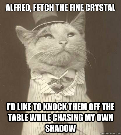 Alfred, fetch the fine crystal  I'd like to knock them off the table while chasing my own shadow - Alfred, fetch the fine crystal  I'd like to knock them off the table while chasing my own shadow  Aristocat