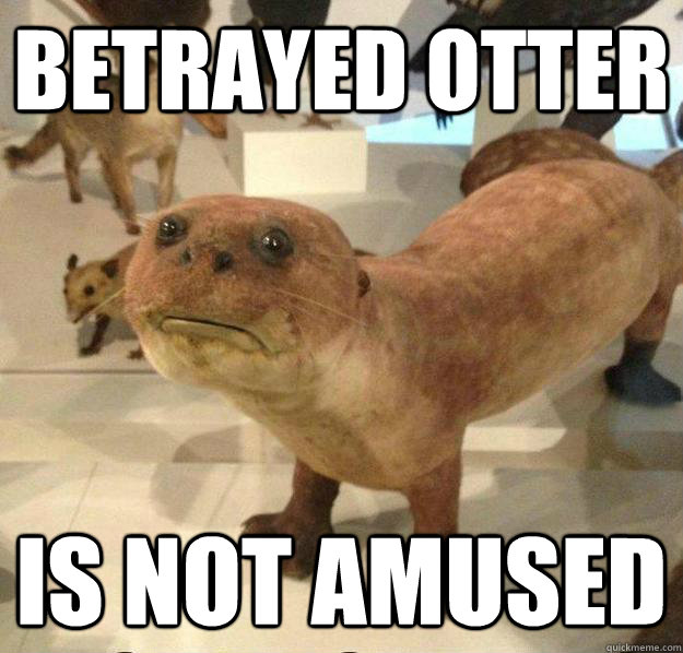 betrayed otter is not amused  