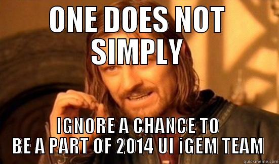 ONE DOES NOT SIMPLY IGNORE A CHANCE TO BE A PART OF 2014 UI IGEM TEAM Boromir