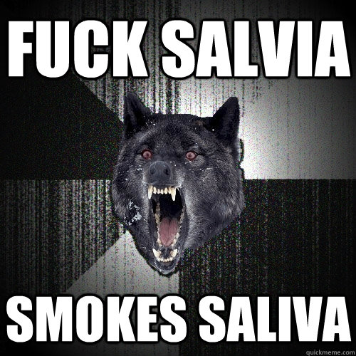 fuck salvia smokes saliva  Insanity Wolf