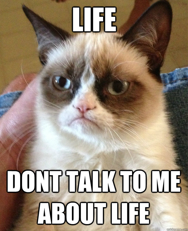 Life Dont talk to me about life  Grumpy Cat