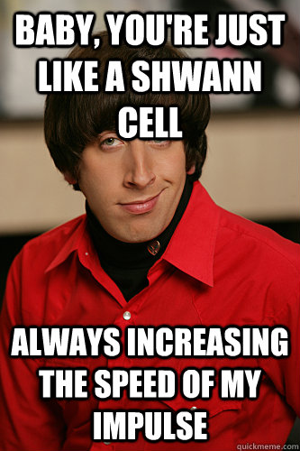 Baby, you're just like a Shwann cell Always increasing the speed of my impulse - Baby, you're just like a Shwann cell Always increasing the speed of my impulse  Howard Wolowitz