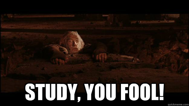  STUDY, YOU FOOL!  Gandalf