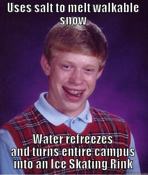 USES SALT TO MELT WALKABLE SNOW WATER REFREEZES AND TURNS ENTIRE CAMPUS INTO AN ICE SKATING RINK Bad Luck Brian