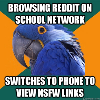 Browsing reddit on school network switches to phone to view NSFW links  Paranoid Parrot