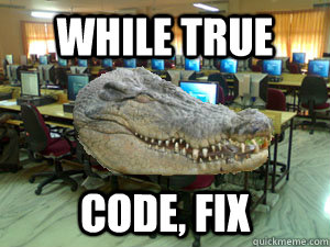 while true code, fix  